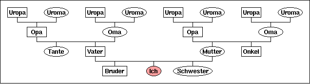 Genogramm Beispiel