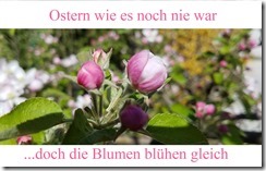 Ostern Blumen