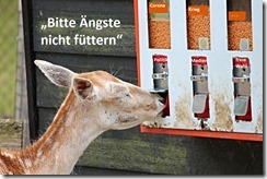 Ängste nicht füttern