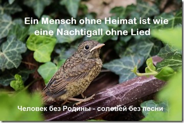 Heimat